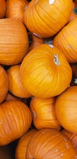 Abstract several pumpkin patch background