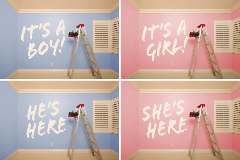 Maternity series of pink and blue empty rooms with ladder and paint supplies