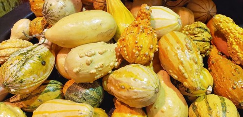 Abstract several gourds background