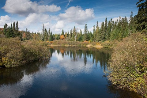 See im Algonquin Park