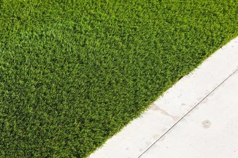 Newly installed artificial grass next to walkway