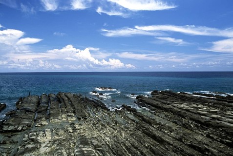 A scene on the way to Corbines Cove Beach