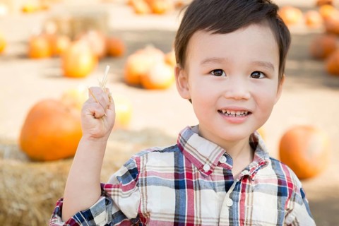 Cute mixed-race young boy having fun at the pumpkin patch