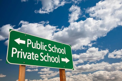 Public or private school green road sign over dramatic clouds and sky