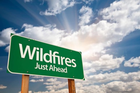 Wildfires green road sign against dramatic sky