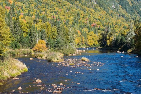 Herbstlandschaft im Park Jacques Cartier