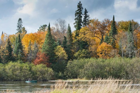 Herbstfarben im Algonquin Park