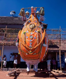 Chinakathoor Pooram Festival