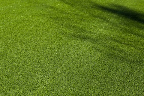Newly installed artificial grass