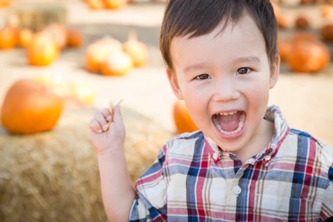 Cute mixed-race young boy having fun at the pumpkin patch