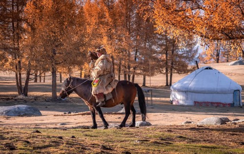 Go hunting with his eagle. Western Mongolia