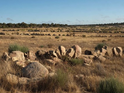 Landschaft am Auslaeufer des Almendra-Stausees im Bezirk Salamanca