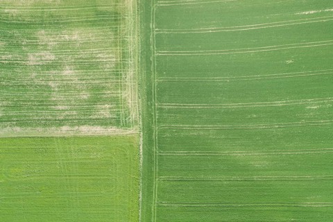 Luftuafnahme gruener Agrarlandschaft im Fruehling