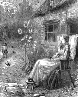 Young woman sitting in the garden in summer