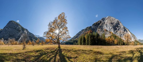Panorama