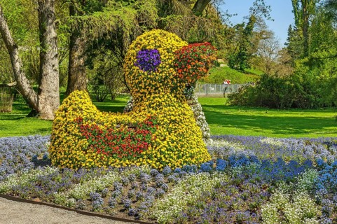 Flower sculpture duck
