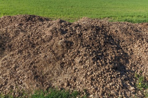 A pile of horse droppings