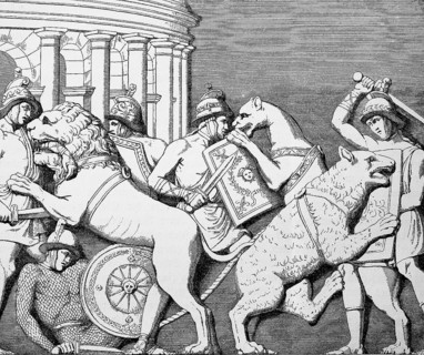 Animal fights of the gladiators in the circus in the theatre of Marcellus