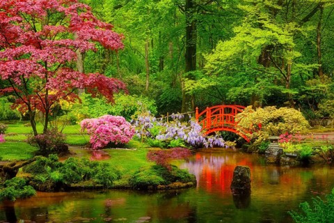 Small bridge in Japanese garden