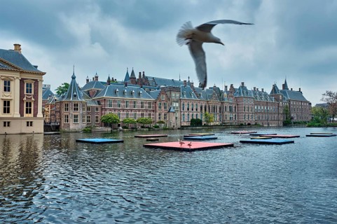 View of the Binnenhof House of Parliament and the Hofvijver lake and flying seagull. The Hague