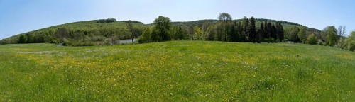 Meadow