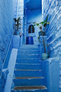 Blue houses in streets of of Jodhpur