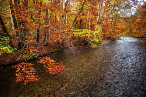 River Wuerm