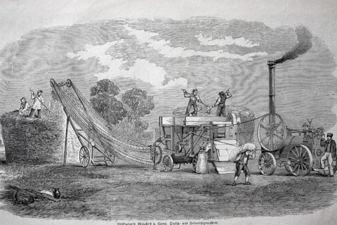 Steam-powered threshing machine by Wilkinson