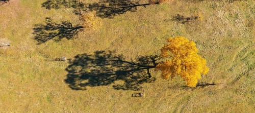 Shadow