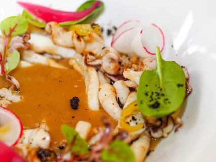 Macro close up of pan cooked grilled flambe atlantic squid plated with potato rich sauce cream reduction