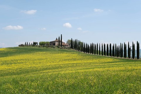 Poggio Covili estate
