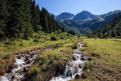Wildental with Wildenbach