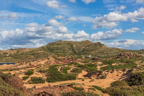 Nature Reserve
