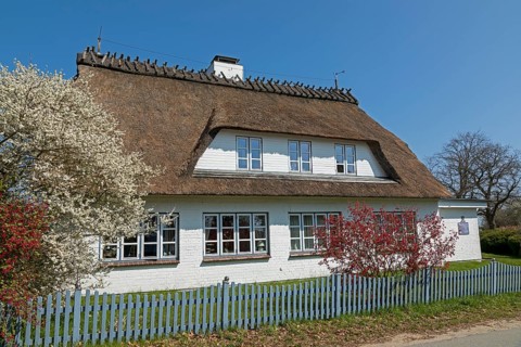 Thatched roof house