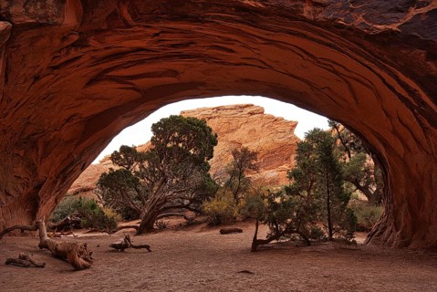 View through