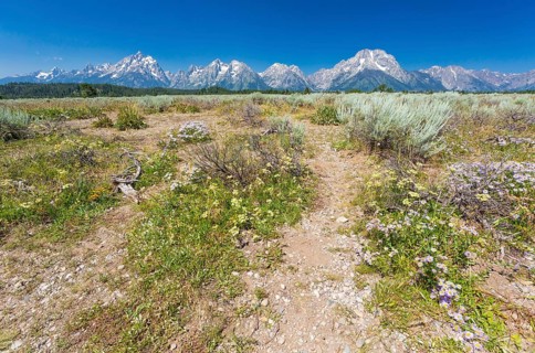 Grand teton national park mountain range in wyoming