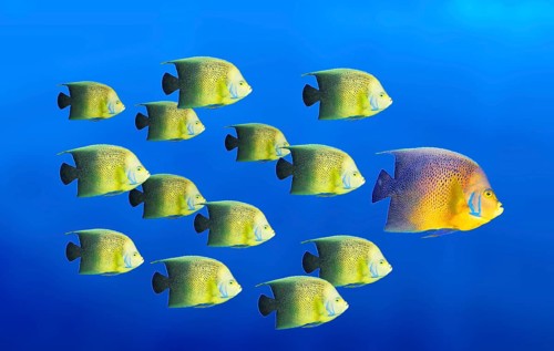 Leadership concept