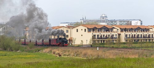 Molli steam train
