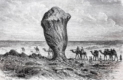 Camel caravan in the white desert