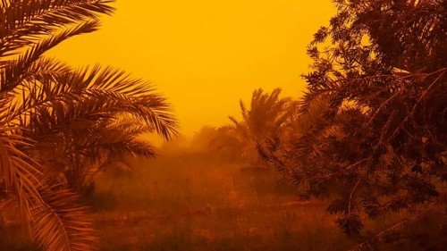 Sandstorm