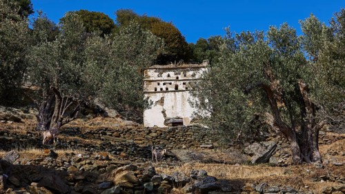 Watchtower