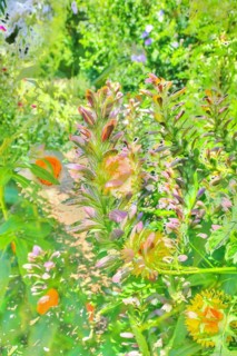 Flowers creative