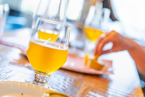 Abstract of small glass of micro brew beers on bar