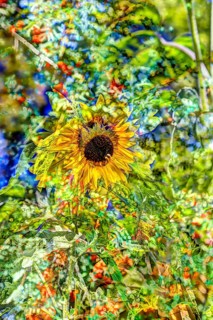 Flowers creative