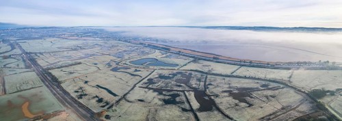 RSPB Exminster and Powderham Marshes and River Exe from a drone at sunrise