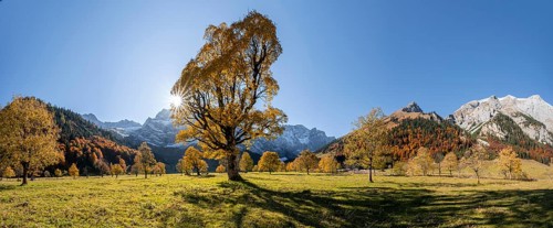 Panorama