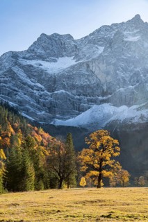 Spitzkarspitze and large maple ground in autumn