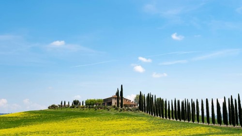 Poggio Covili estate