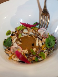 Macro close up of pan cooked grilled flambe atlantic squid iplated with potato rich sauce cream reduction