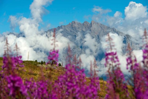 View from the Croix de Coeur Pass to the summit of Haut de Cry in the Bernese Alps